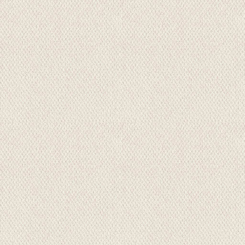 Shaw MAINSTAY 100 Nylon Carpet