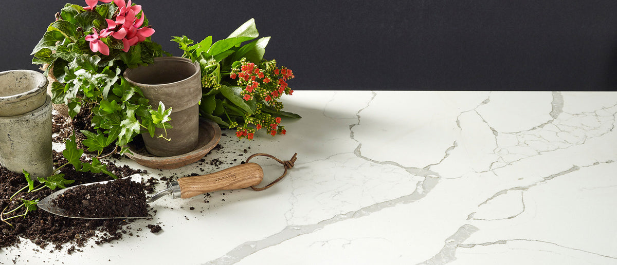 MSI Surfaces Calacatta Laza Quartz Countertop