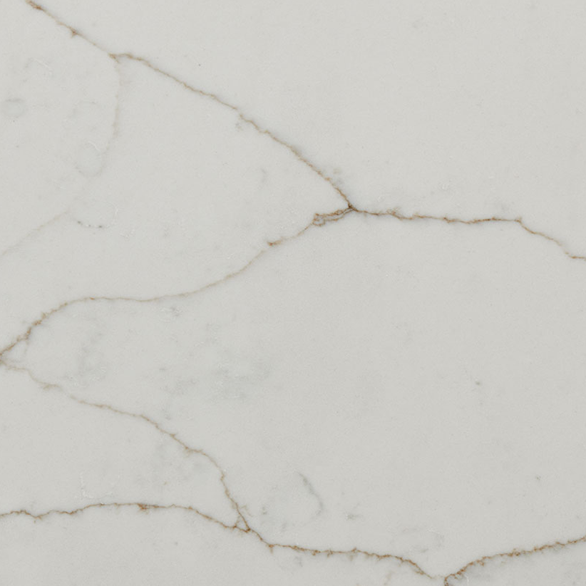 MSI Surfaces Calacatta Prado Quartz Countertop