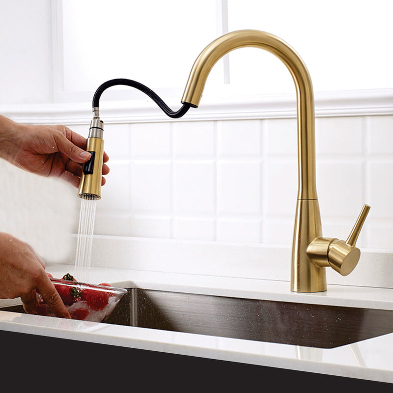 Gold Single-Handle Kitchen Faucet 200108GD