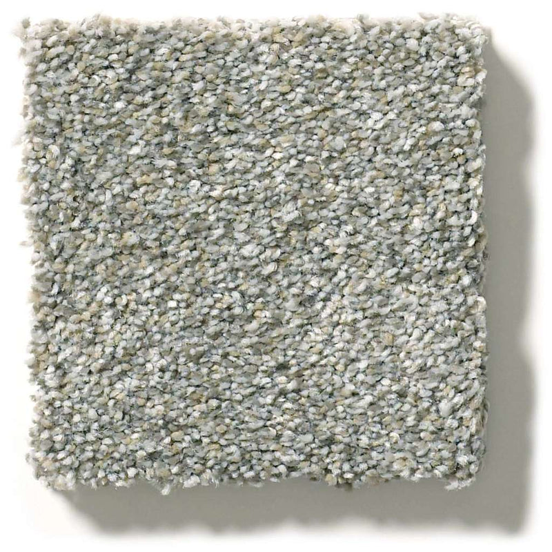 MONTAGE II 100% BCF Cleartouch PET Polyester Carpet 12 ft. x Custom Length R2X® Built-in Stain & Soil Protection