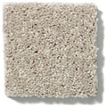 NEWBERN CLASSIC 12' 100% Pet Polyester Carpet 12 ft. x Custom Length R2X® Built-in Stain & Soil Protection