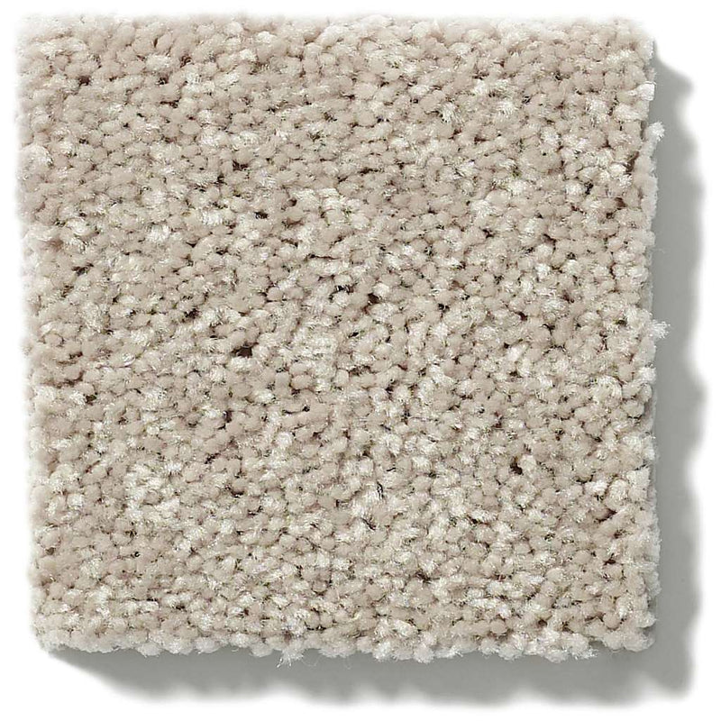 NEWBERN CLASSIC 12' 100% Pet Polyester Carpet 12 ft. x Custom Length R2X® Built-in Stain & Soil Protection