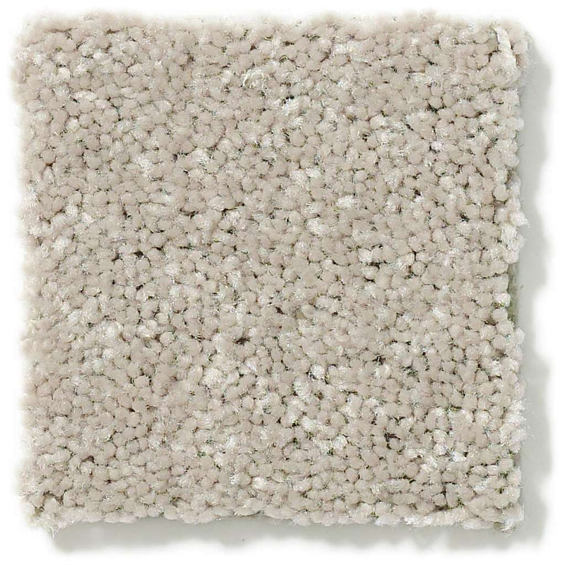DYERSBURG CLASSIC 12' 100% Pet Polyester Carpet 12 ft. x Custom Length R2X® Built-in Stain & Soil Protection