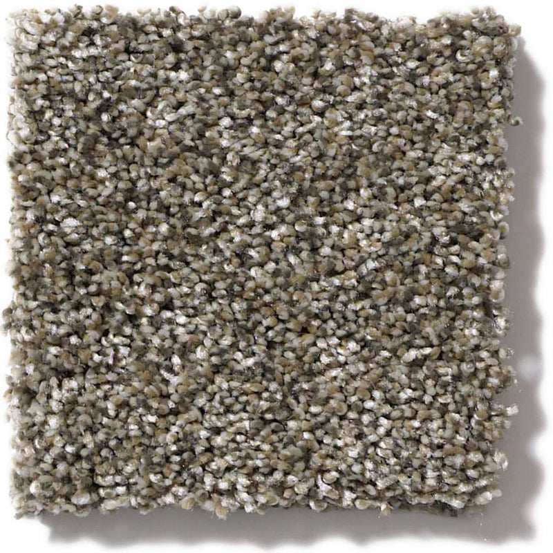 OF COURSE WE CAN I 12' 100% Pet Polyester Carpet 12 ft. x Custom Length R2X® Built-in Stain & Soil Protection