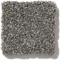 OF COURSE WE CAN III 12' 100% Pet Polyester Carpet 12 ft. x Custom Length R2X® Built-in Stain & Soil Protection
