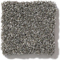 OF COURSE WE CAN I 12' 100% Pet Polyester Carpet 12 ft. x Custom Length R2X® Built-in Stain & Soil Protection