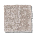 FINE STRUCTURE 100% Nylon Carpet 12 ft. x Custom Length R2X® Built-in Stain & Soil Protection, Spill-Proof Backing