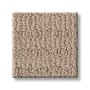 CHIC ELEVATION 100% High Performance PET Carpet 12 ft. x Custom Length
