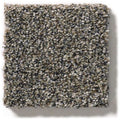 WITHIN REACH III 100% PET Polyester Carpet 12 ft. x Custom Length