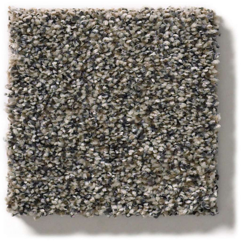 WITHIN REACH I 100% PET Polyester Carpet 12 ft. x Custom Length