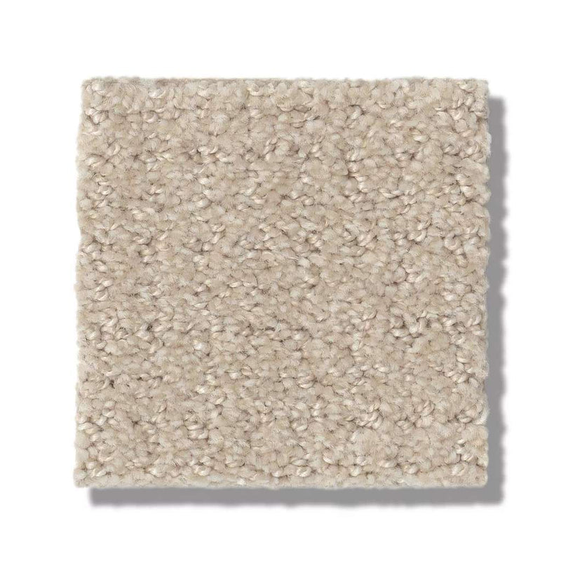 TRANSLATE 100% SD PET Polyester Carpet 12 ft. x Custom Length