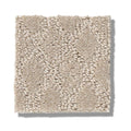 TRANSCENDING 100% SD PET Polyester Carpet 12 ft. x Custom Length