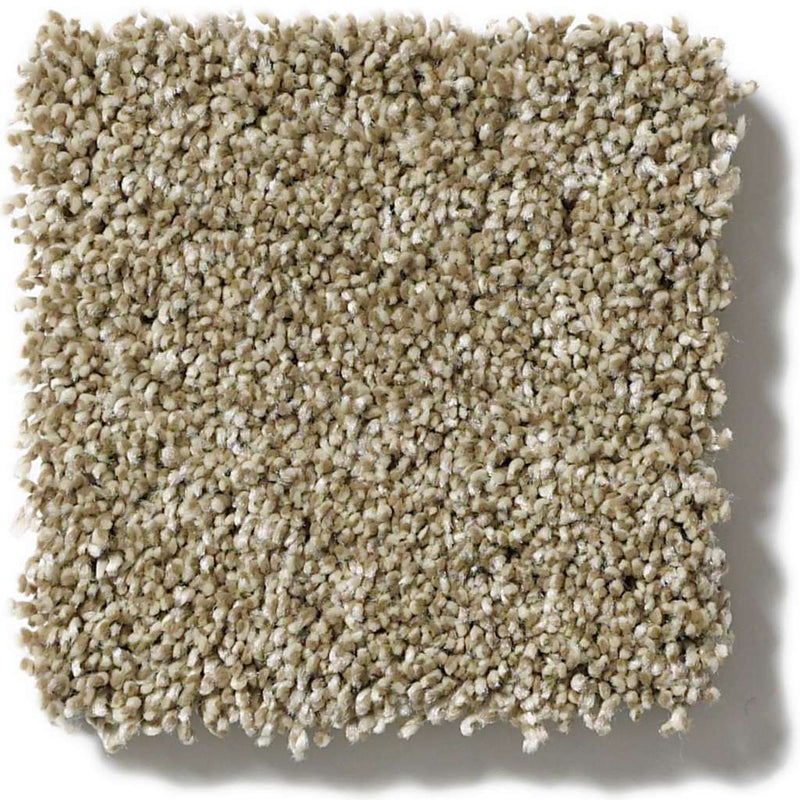 OF COURSE WE CAN I 12' 100% Pet Polyester Carpet 12 ft. x Custom Length R2X® Built-in Stain & Soil Protection