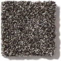 OF COURSE WE CAN I 12' 100% Pet Polyester Carpet 12 ft. x Custom Length R2X® Built-in Stain & Soil Protection