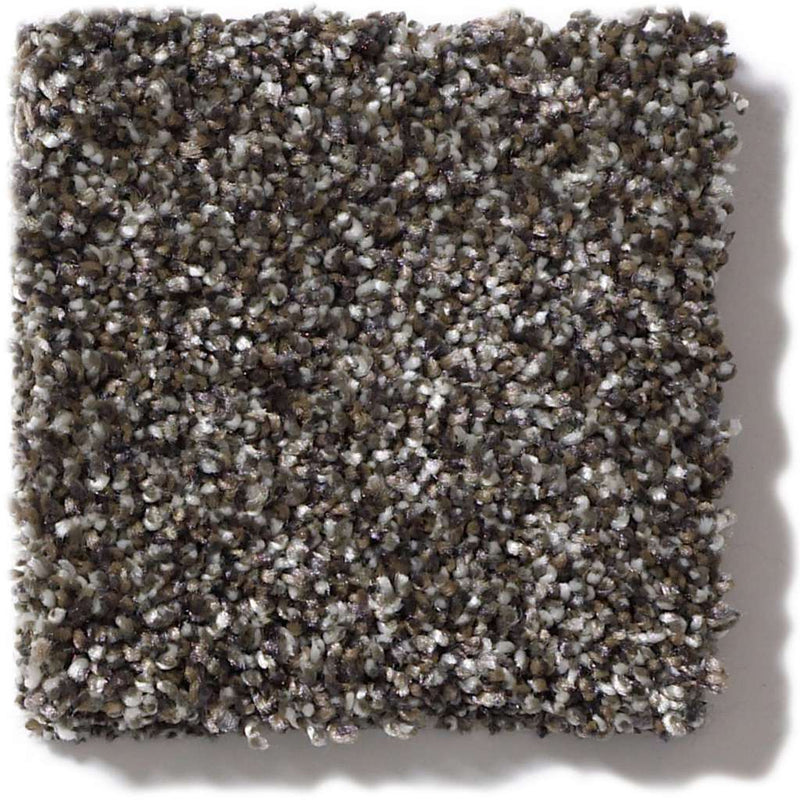 OF COURSE WE CAN III 12' 100% Pet Polyester Carpet 12 ft. x Custom Length R2X® Built-in Stain & Soil Protection