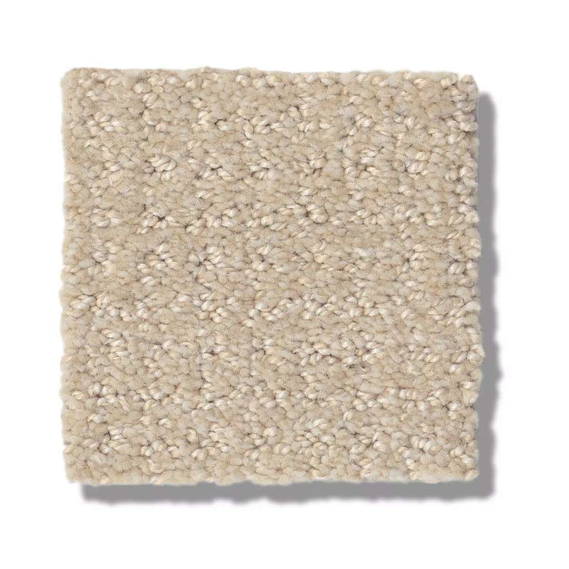 TRANSLATE 100% SD PET Polyester Carpet 12 ft. x Custom Length