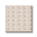 FAINT INTENT 100% Nylon Carpet 12 ft. x Custom Length R2X® Built-in Stain & Soil Protection