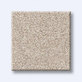 HARMONIOUS III 100% Nylon Carpet 12 ft. x Custom Length R2X® Built-in Stain & Soil Protection