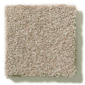 MONTAGE I 100% Pet Polyester Carpet 12 ft. x Custom Length R2X® Built-in Stain & Soil Protection