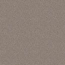 INFLUENCER 100% High Performance PET Carpet 12 ft. x Custom Length