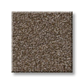 TRUSPIRIT II 100% SD PET Polyester Carpet 12 ft. x Custom Length