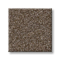 TRUSPIRIT I 100% SD PET Polyester Carpet 12 ft. x Custom Length