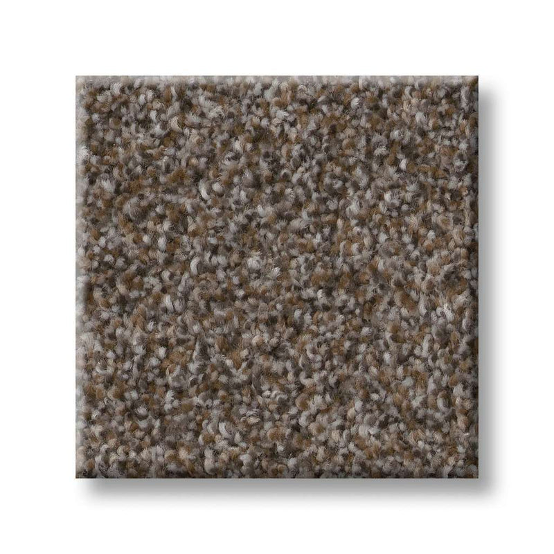 TRUSPIRIT II 100% SD PET Polyester Carpet 12 ft. x Custom Length