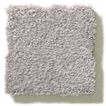 MONTAGE I 100% Pet Polyester Carpet 12 ft. x Custom Length R2X® Built-in Stain & Soil Protection