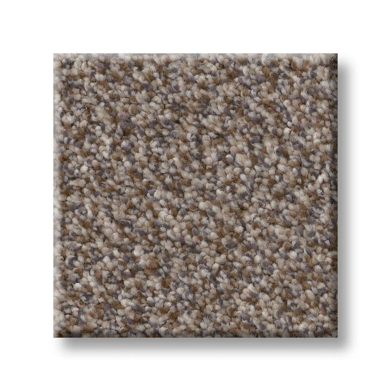 TRUSPIRIT II 100% SD PET Polyester Carpet 12 ft. x Custom Length