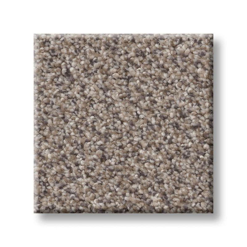 TRUSPIRIT II 100% SD PET Polyester Carpet 12 ft. x Custom Length