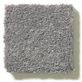 MONTAGE I 100% Pet Polyester Carpet 12 ft. x Custom Length R2X® Built-in Stain & Soil Protection