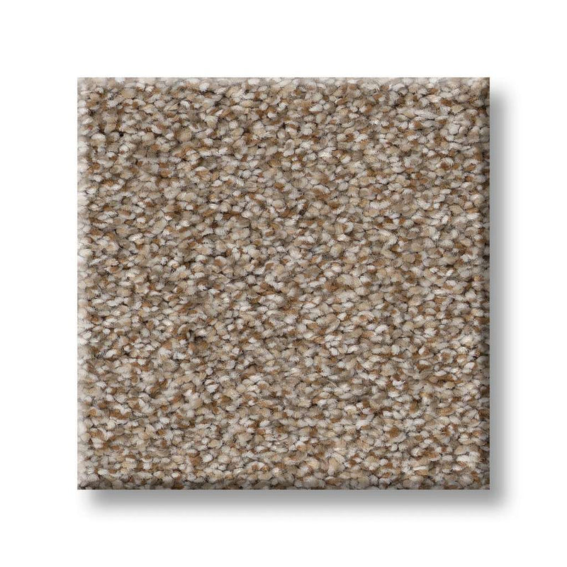 TRUSPIRIT I 100% SD PET Polyester Carpet 12 ft. x Custom Length