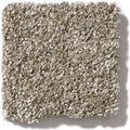 OF COURSE WE CAN III 12' 100% Pet Polyester Carpet 12 ft. x Custom Length R2X® Built-in Stain & Soil Protection