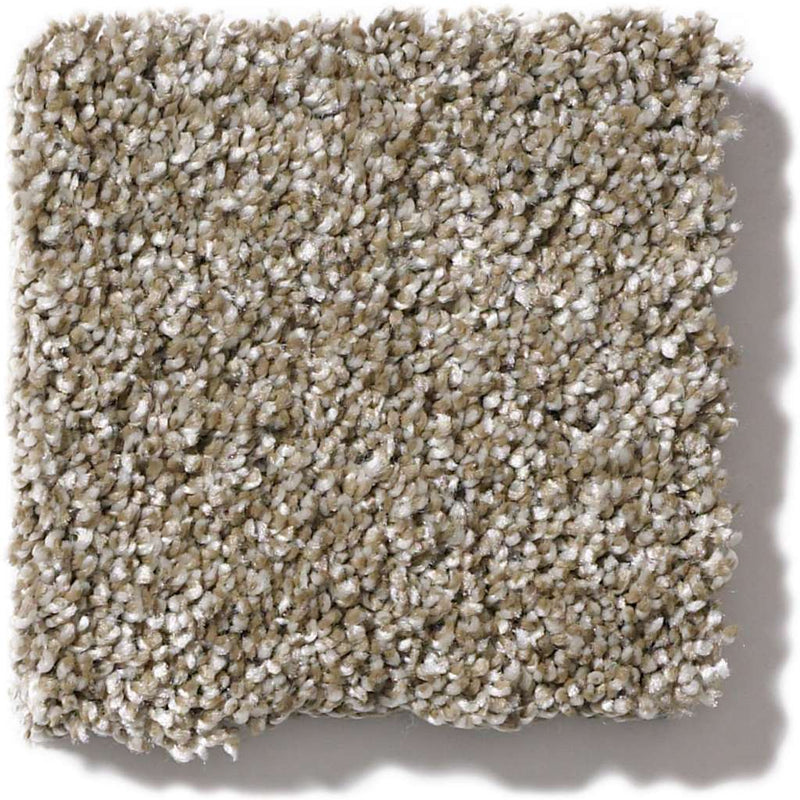 OF COURSE WE CAN I 12' 100% Pet Polyester Carpet 12 ft. x Custom Length R2X® Built-in Stain & Soil Protection