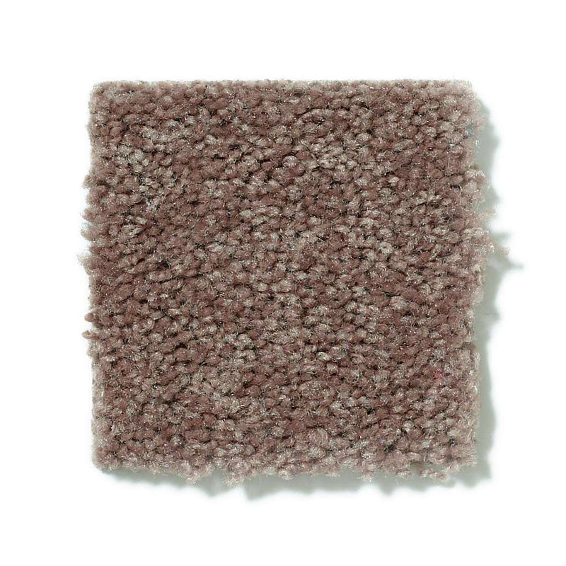 NEWBERN CLASSIC 12' 100% Pet Polyester Carpet 12 ft. x Custom Length R2X® Built-in Stain & Soil Protection