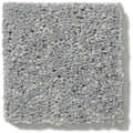 NEWBERN CLASSIC 12' 100% Pet Polyester Carpet 12 ft. x Custom Length R2X® Built-in Stain & Soil Protection