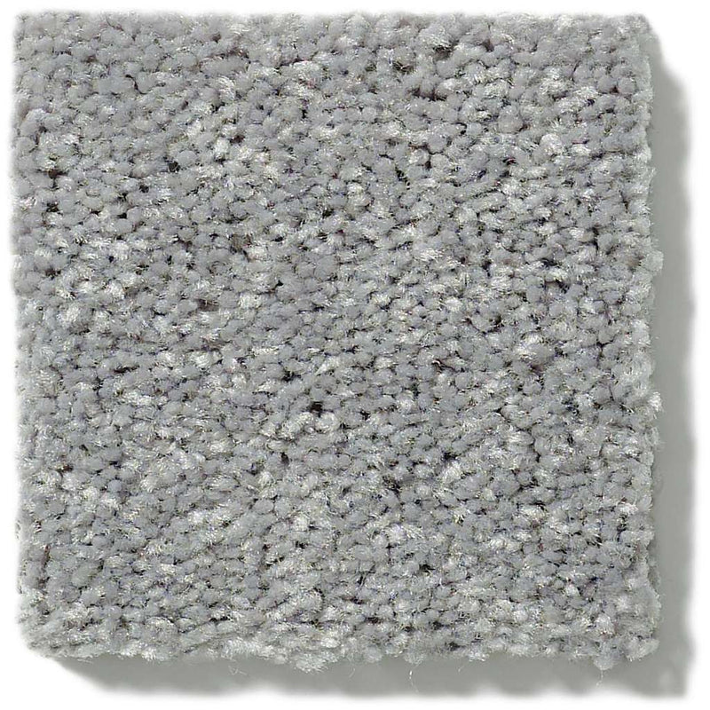 NEWBERN CLASSIC 12' 100% Pet Polyester Carpet 12 ft. x Custom Length R2X® Built-in Stain & Soil Protection