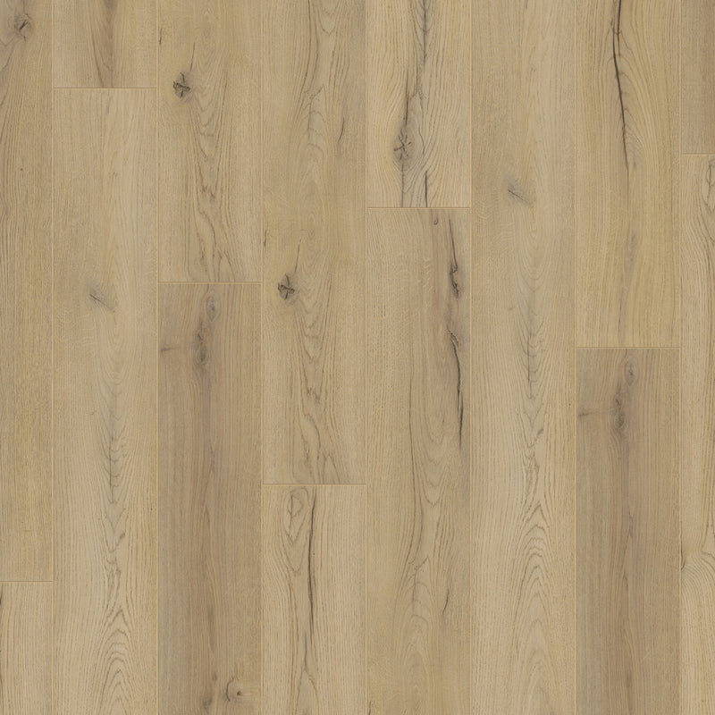 $1.89/sq. ft. ($43.37/Box) Authentic Advanced "CENTURY OAK BEIGE" 8mm Laminate Flooring