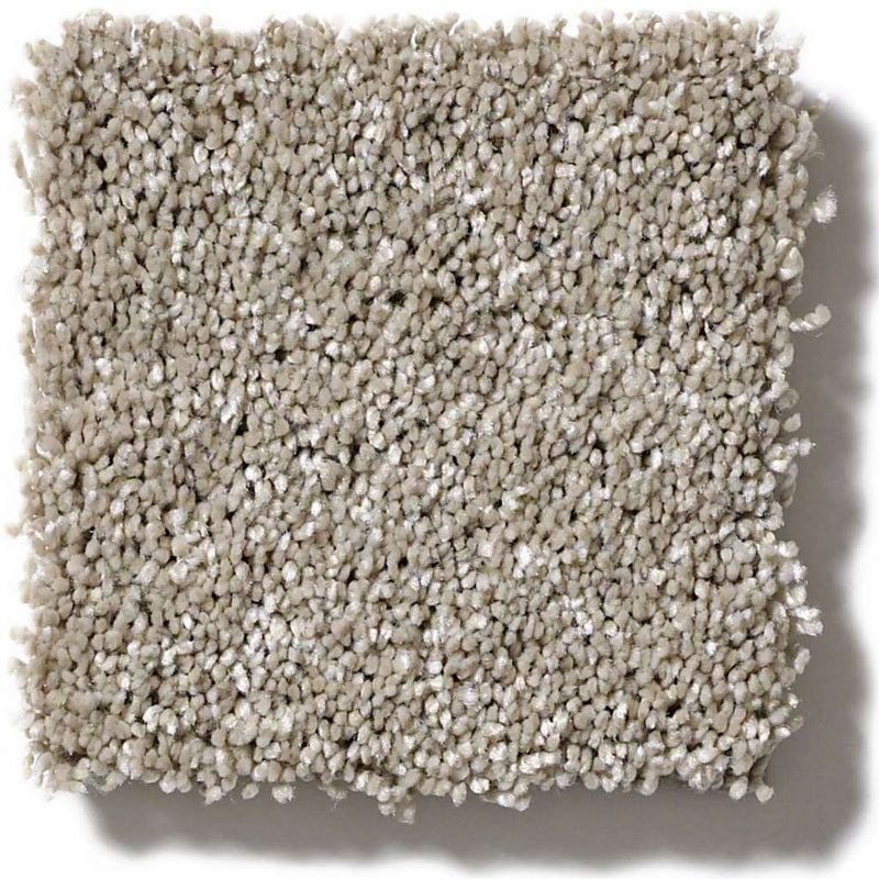 OF COURSE WE CAN II 12' 100% Pet Polyester Carpet 12 ft. x Custom Length R2X® Built-in Stain & Soil Protection