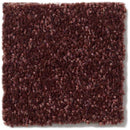 DYERSBURG CLASSIC 12' 100% Pet Polyester Carpet 12 ft. x Custom Length R2X® Built-in Stain & Soil Protection