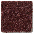 NEWBERN CLASSIC 12' 100% Pet Polyester Carpet 12 ft. x Custom Length R2X® Built-in Stain & Soil Protection