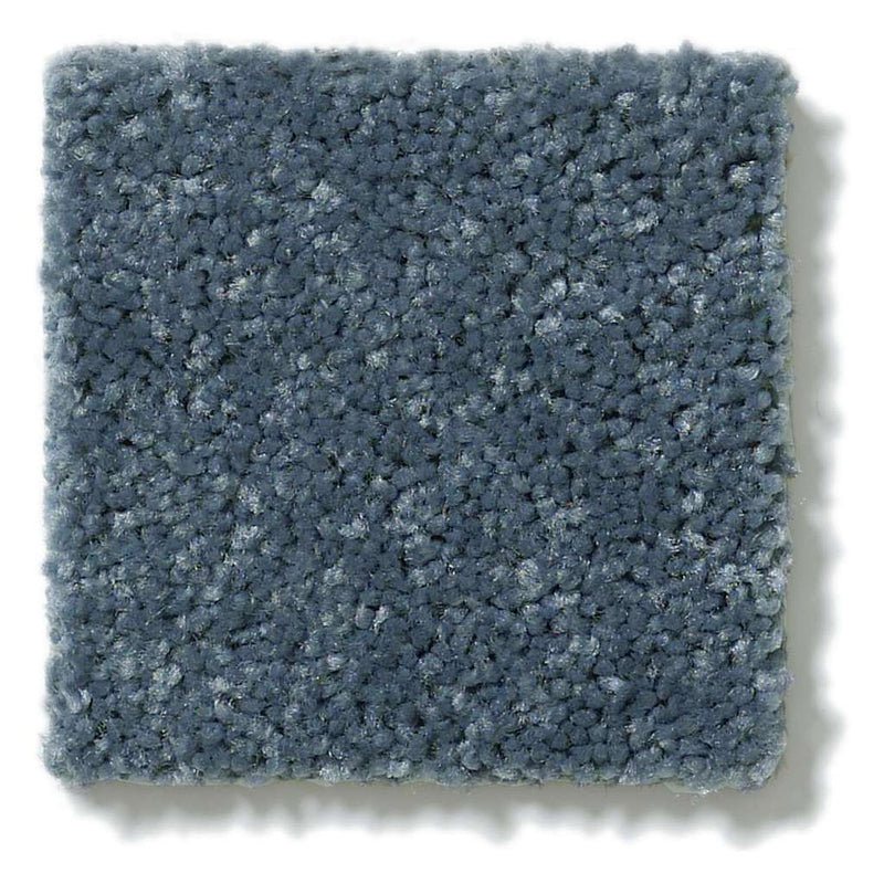 NEWBERN CLASSIC 12' 100% Pet Polyester Carpet 12 ft. x Custom Length R2X® Built-in Stain & Soil Protection