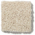 NEWBERN CLASSIC 12' 100% Pet Polyester Carpet 12 ft. x Custom Length R2X® Built-in Stain & Soil Protection