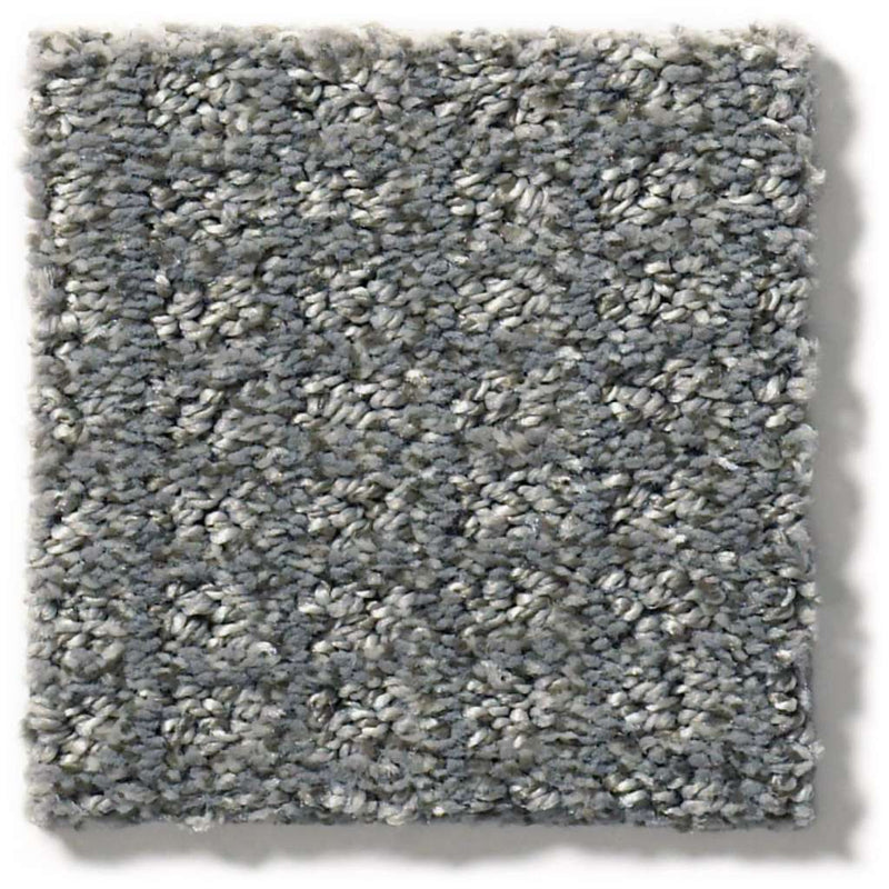 STAY FIT 100% SD PET Polyester Carpet 12 ft. x Custom Length