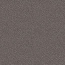 INFLUENCER 100% High Performance PET Carpet 12 ft. x Custom Length