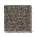STAY FIT 100% SD PET Polyester Carpet 12 ft. x Custom Length
