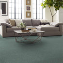 DYERSBURG CLASSIC 12' 100% Pet Polyester Carpet 12 ft. x Custom Length R2X® Built-in Stain & Soil Protection