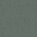 DYERSBURG CLASSIC 12' 100% Pet Polyester Carpet 12 ft. x Custom Length R2X® Built-in Stain & Soil Protection