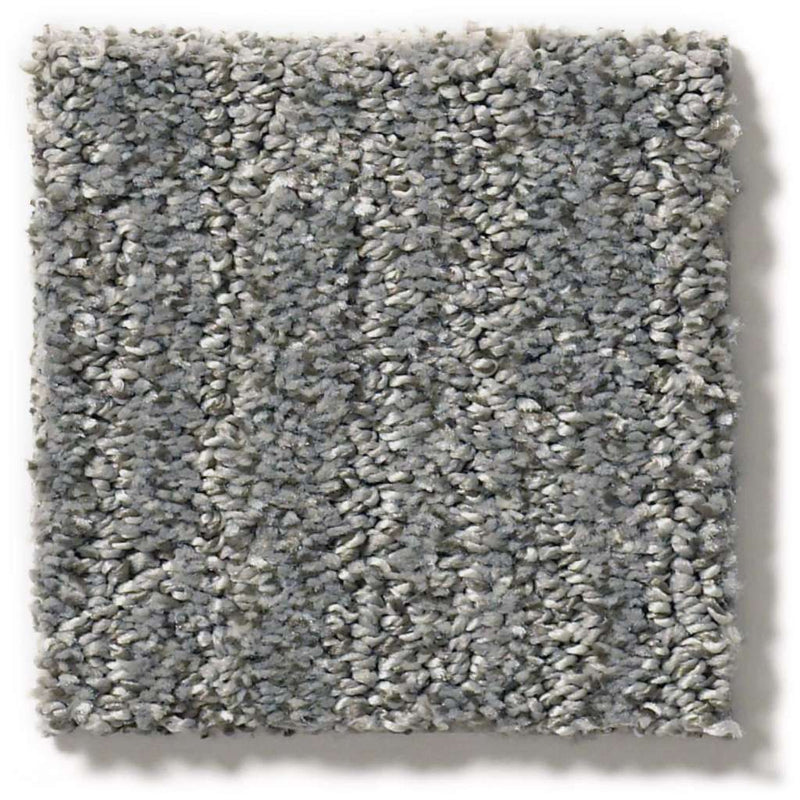 EASY FIT 100% SD PET Polyester Carpet 12 ft. x Custom Length R2X® Built-in Stain & Soil Protection